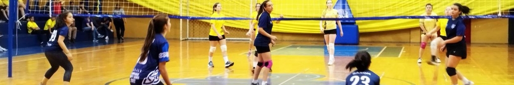 Volleyball